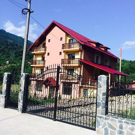 Pensiunea Cheile Argesului Capatineni-Paminteni Exterior foto